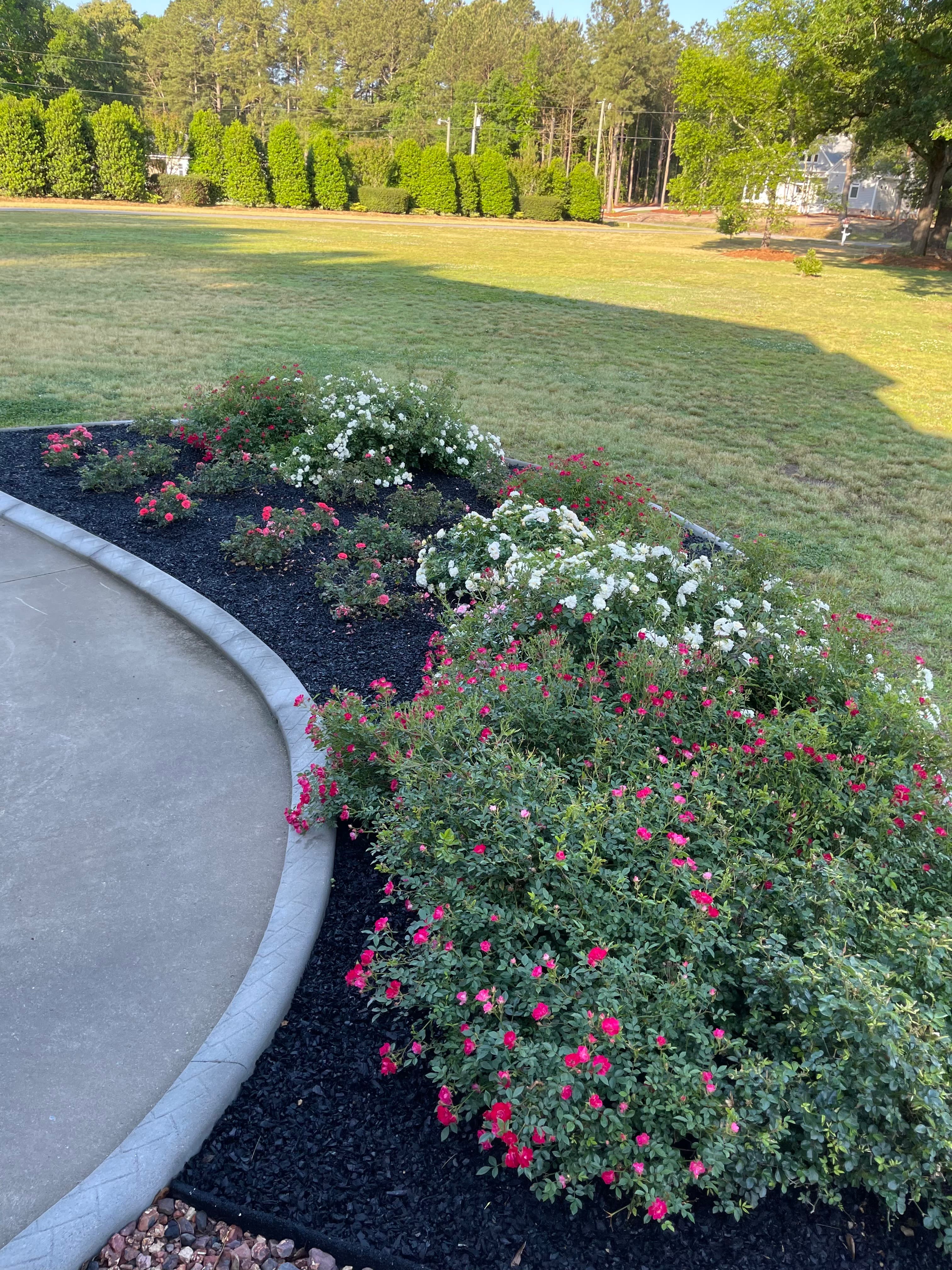 Featured landscaping project