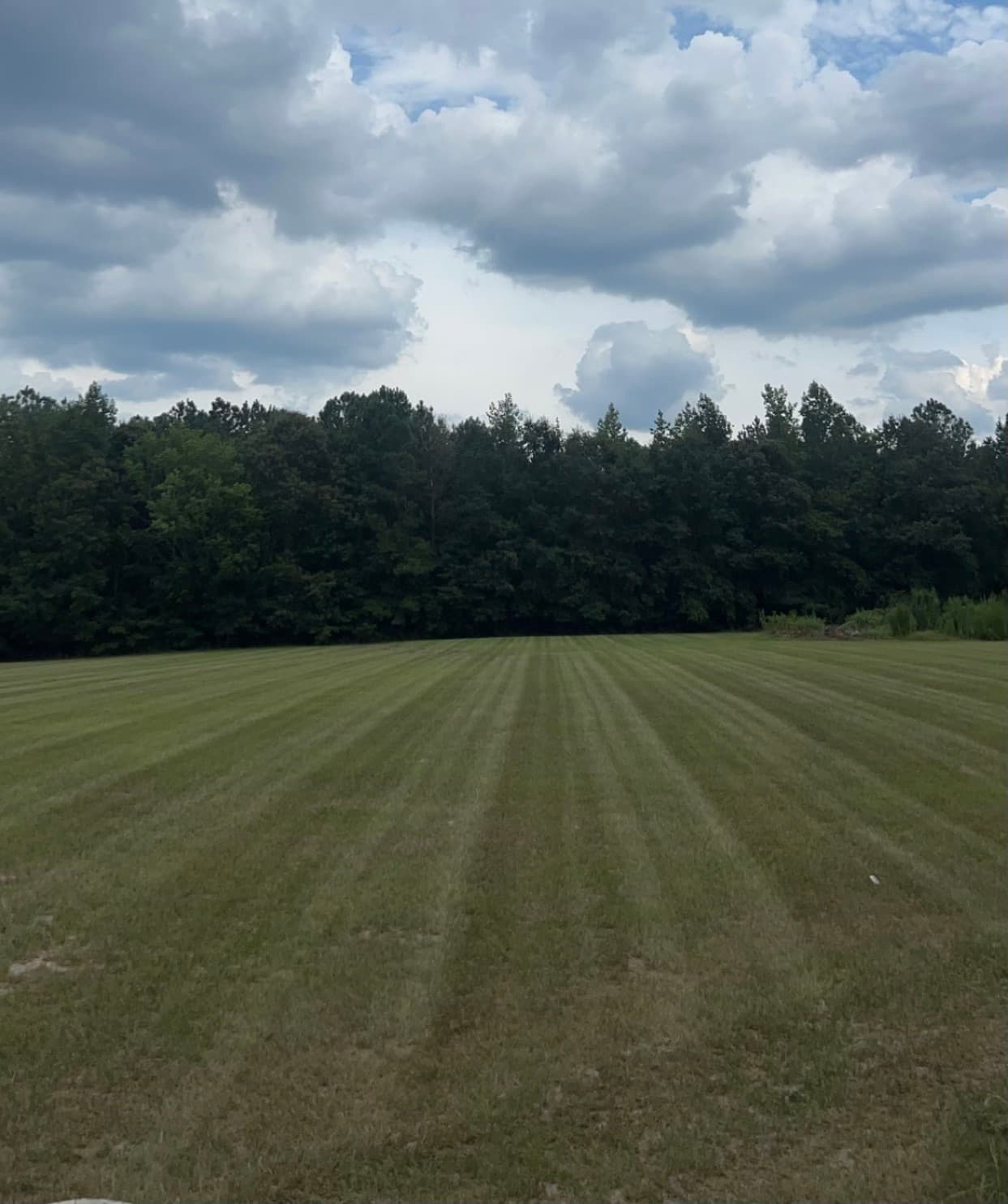Landscaping project 6