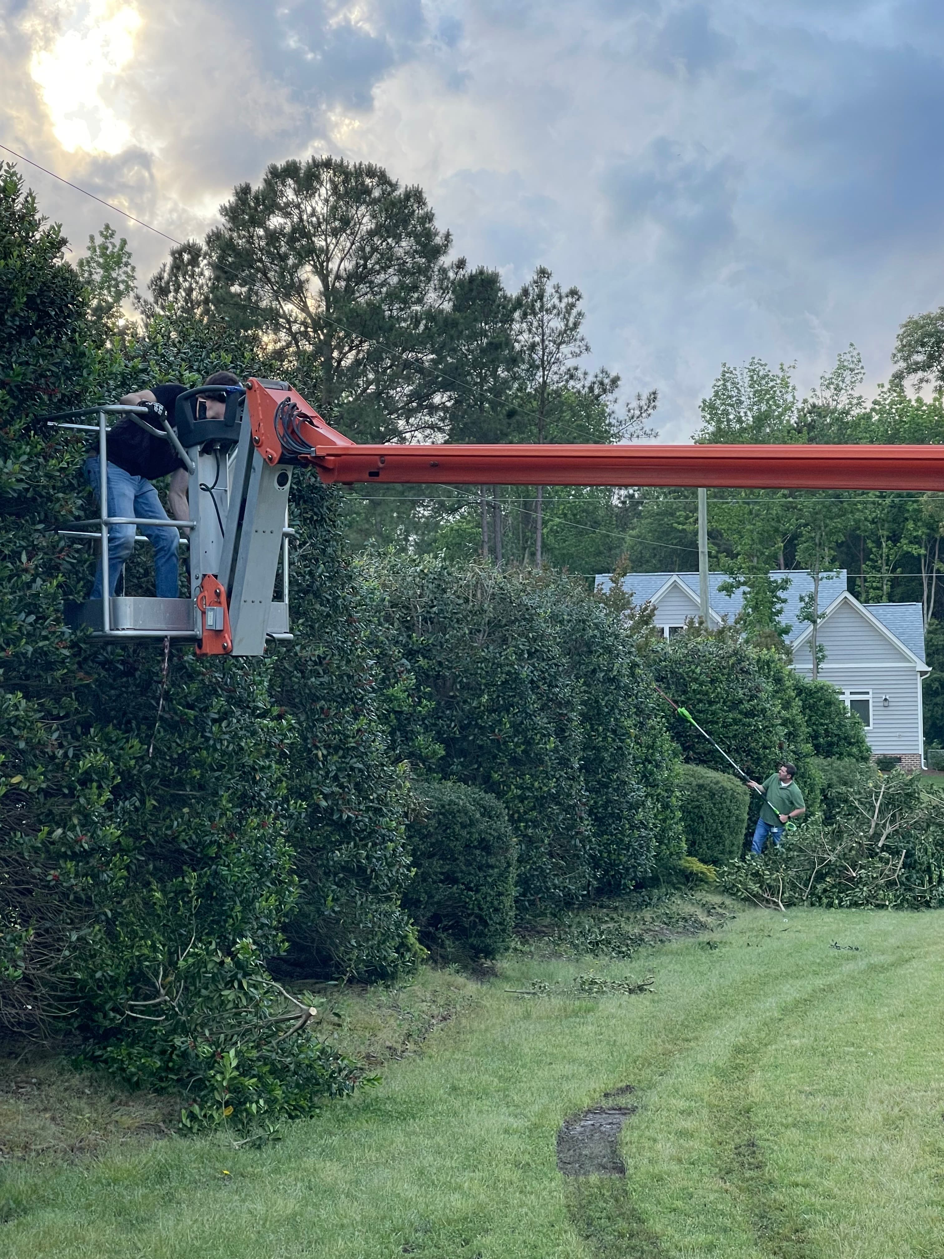 Brush Clearing & Property Maintenance